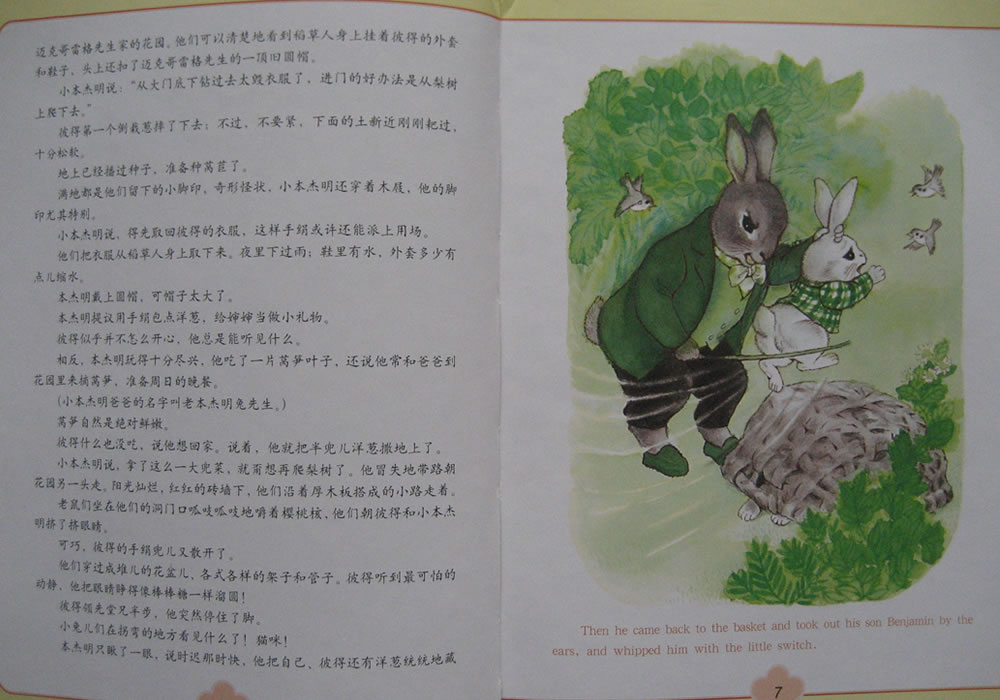 兔子彼得的故事 (09),绘本,绘本故事,绘本阅读,故事书,童书,图画书,课外阅读